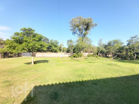 Image 3 - 239663